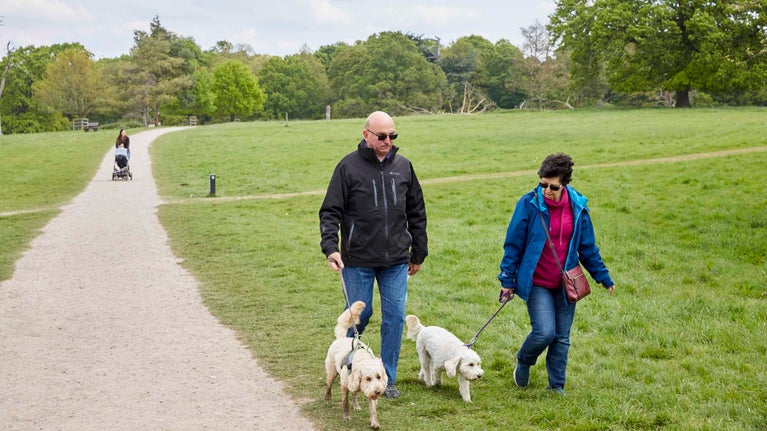 Two people walk dogs on leads along a path in the grounds of Hatchlands Park, Surrey
